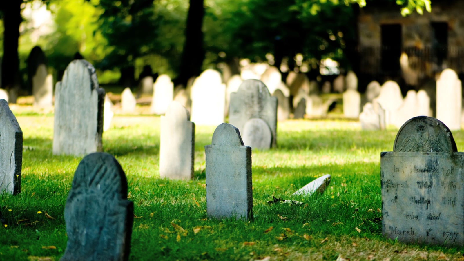 u.today - Arman Shirinyan - 2026 Crypto Graveyard: 99 Projects Officially Shut Down