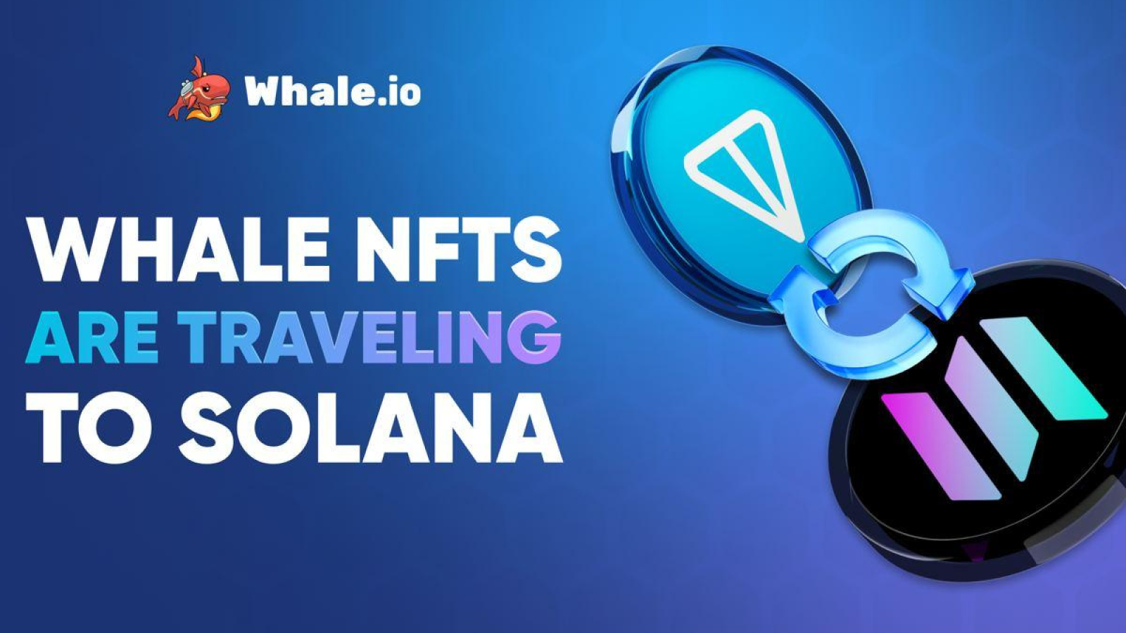 Whale NFT Bridge Goes Live: TON to Solana Migration Launches on Bridgemedaddy.com