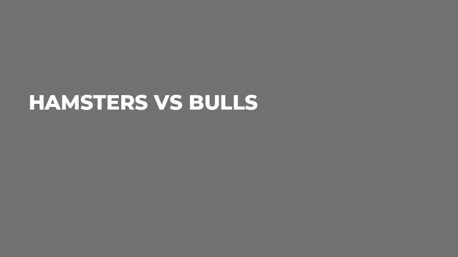 Hamsters VS Bulls