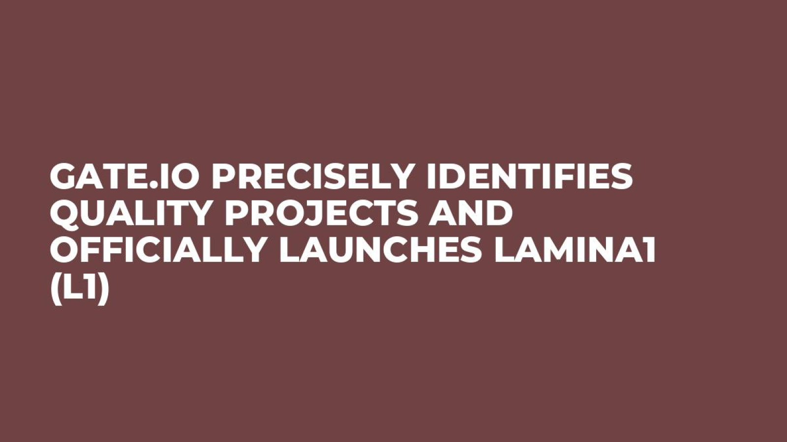 Gate.io Precisely Identifies Quality Projects and Officially Launches Lamina1 (L1)