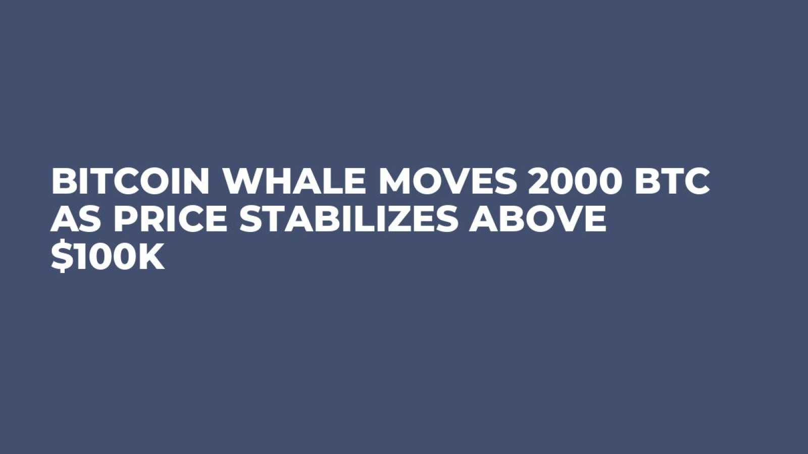 Bitcoin Whale Moves 2000 BTC as Price Stabilizes Above $100K - U.Today