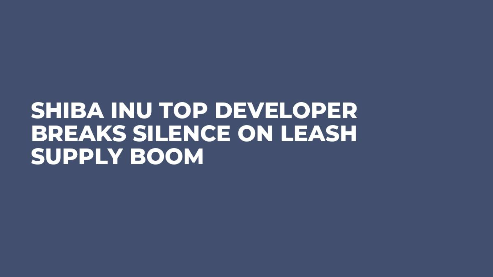 Shiba Inu Top Developer Breaks Silence on LEASH Supply Boom - U.Today