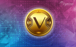 How to store VeChain (VEN)
