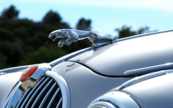IOTA Skyrockets 16 Percent on Jaguar Partnership. Will the Rally Continue?