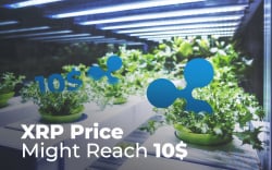 Every Ripple Price Prediction 2019 Says the Same Thing: XRP Price Might Reach 10$