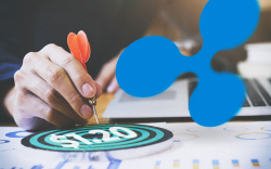 Ripple Price Prediction 2019: XRP Might Reach $1.20 by the End of 2019