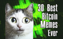 30 Best Bitcoin Memes Ever  