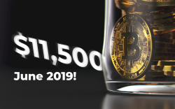 BTC Price Will Rise to $11,500 by June 2019! Bitcoin Is Predicted to Gain Momentum by Summer