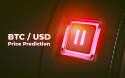 BTC/USD Price Prediction — Are Bulls Making a Pause Before $10,000?