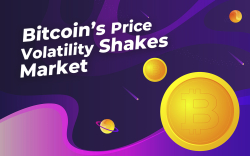 Bitcoin’s Price Volatility Shakes Market Leaving Most Coins in the Red - A Big Concern, or Simple Correction?