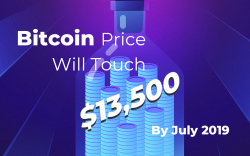 Bitcoin (BTC) Price Will Touch $13,500 By July 2019 – Main Reasons For Skyrocketing