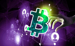 Shady Bitcoin Cash Address Raises Questions About the Network’s Real Activity