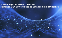 Cardano (ADA) Soars 12 Percent, Binance DEX Lowers Fees as Binance Coin (BNB) Rises
