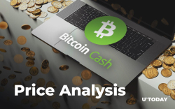Bitcoin Cash Price Analysis — How Much Might BCH Cost in 2019, 2020, and 2025?