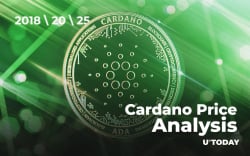 Cardano Price Analysis - How Much Might the Cost of ADA be in 2018\20\25?