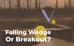 Vechain (VET) Price On The Crossroads: Falling Wedge Or Breakout?
