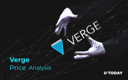 Verge Price Analysis 2018/19/20: Will XVG Surprise Us?