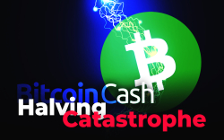 Bitcoin Cash Halvening In 160 Days May Cause 51% Attack, Warns Kraken BD Director Bitcoin Cash Halvening In 160 Days May Cause 51% Attack, Warns Kraken BD Director