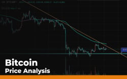 Bitcoin (BTC) Price Analysis — Holding the $8,300 Support But Likely to Go Down