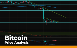 Bitcoin (BTC) Price Analysis — Indicators in Oversold Territory. Can Bulls Expect Fast Recovery?