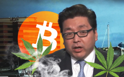Buy High: Bitcoin (BTC) Compared to Cannabis Stocks by Fundstrat's Tom Lee