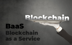 Blockchain as a Service (BaaS). How Do Blockchain Cloud-based Solutions Work?