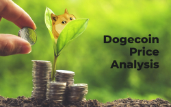 Dogecoin Price Analysis 2019 — Is Long-Term Growth Possible?