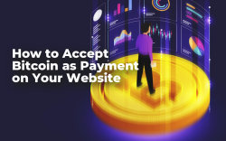 How to Accept Bitcoin as Payment on Your Website