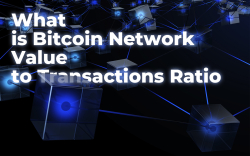 What is Bitcoin Network Value to Transactions (NVT) Ratio?
