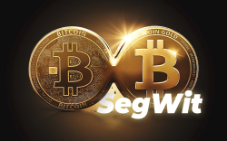 What is Bitcoin's Segregated Witness (SegWit)