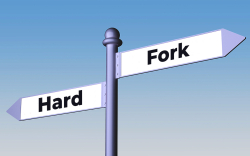 What is Hard Fork?