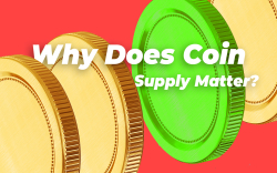 What is Cryptocurrency Circulating Supply