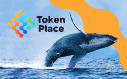A Turn to the Little Guy in the Age of Whales: The Tokenplace Vision for Cross-Coin Architecture