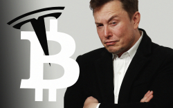 Bitcoin (BTC) Compared to Tesla (TSLA) by Prominent Investor. Elon Musk Won't Like It