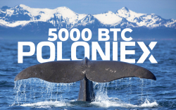 Bitcoin (BTC) Whale Moved 5000 BTC to Poloniex, 'Shuffling Funds' Suspected by Analysts