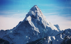 IBM, Microsoft Competitor? Ardor Mentioned as Leading Blockchain as a Service Platform on Everest Group Report