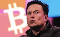 Bitcoin (BTC) Is Not My Safeword: Elon Musk