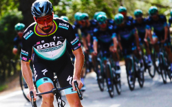 Bitcoin Revolution Scam Strikes Again With Peter Sagan Becoming Its Latest Victim