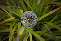 XRP Price Could Explode After Wyckoff Spring Phase That Seems to Be Really Close