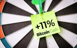 Bitcoin Cash Pumps Over 11 Percent - Will Bullish Wave Continue?
