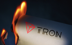 BeatzCoin CCO urges Justin Sun to burn another billion of TRX
