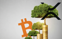 XRP may become a better store of value than Bitcoin, fintech lawyer says