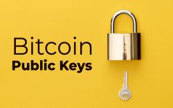 Your Bitcoin (BTC) Public Keys May Be Disclosed by Countries. Here’s How