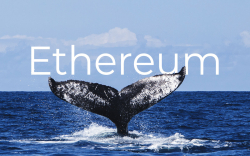 Ethereum (ETH) Whales Accumulating, Not Selling, Report Says