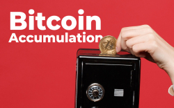 Bitcoin (BTC) Accumulation Continues, Looks Like 2016