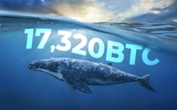 17,320 BTC Moved from Top Exchanges to Anon Wallets – Are Whales Waiting for Leap Over $10,000?