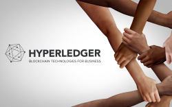 Hyperledger Adds 8 New Partners Including IOV Labs