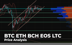 BTC, ETH, BCH, EOS, LTC Price Analysis - How Fast Can Major Coins Recover From Ongoing Decline?