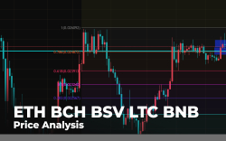 ETH, BCH, BSV, LTC, BNB Price Analysis: Any Reasons for Growth Against Bitcoin (BTC)?