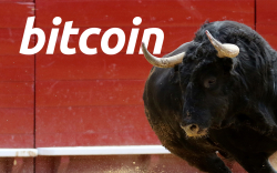 61 Percent of Bitcoin Hasn't Moved in More Than One Year, Which Mirrors Bull Run to $20,000